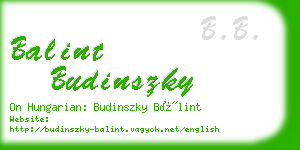 balint budinszky business card